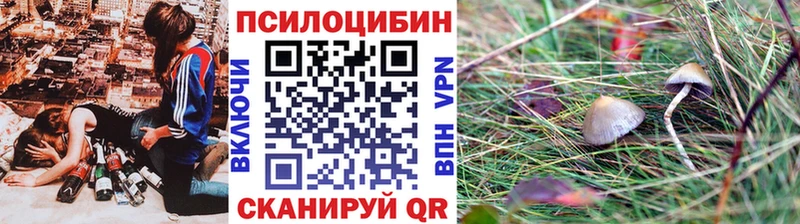 Псилоцибиновые грибы Psilocybine cubensis  Купить  Далматово 