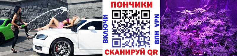 Купить где  Далматово  Каннабис Ganja 